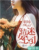職場風雲:情迷女上司